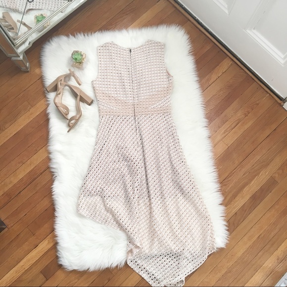 BCBG MaxAzria Tracie Blush Asymmetrical Dress - Picture 5 of 8